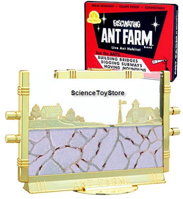 Uncle Milton Giant Ant Farm Kit 